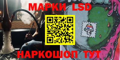 Альфа ПВП Моздок