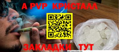 Альфа ПВП Моздок