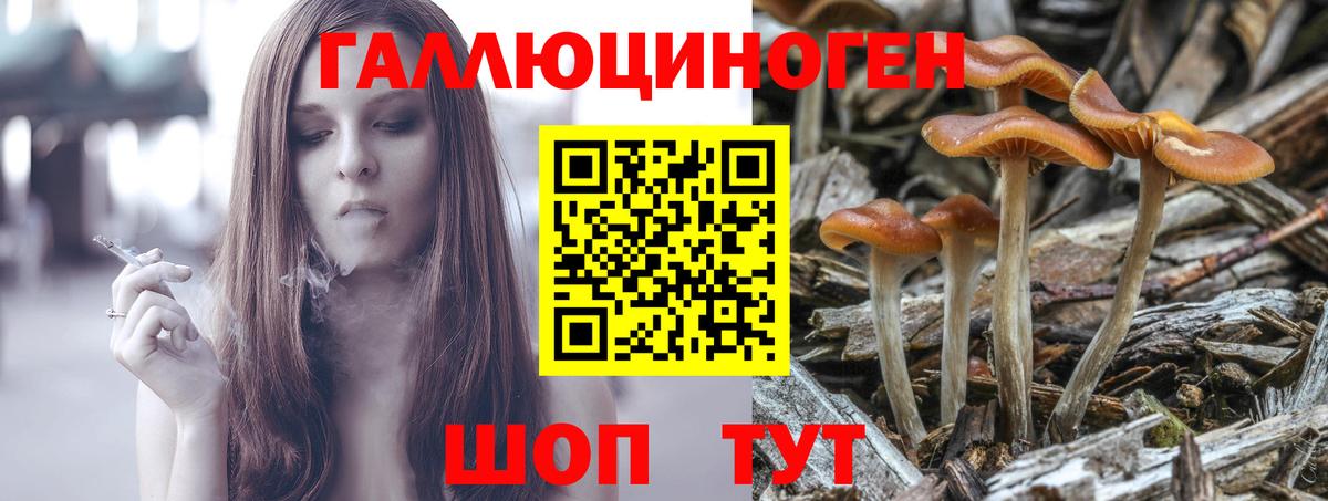 Галлюциногенные грибы прущие грибы  Вход с VPN  Псилоцибиновые грибы GOLDEN TEACHER  Северобайкальск 